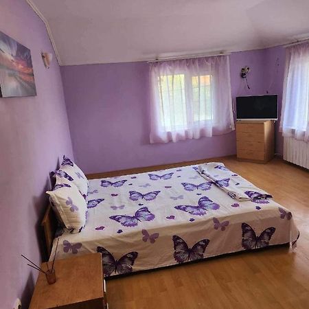 סופיה Guest House Iveta מראה חיצוני תמונה