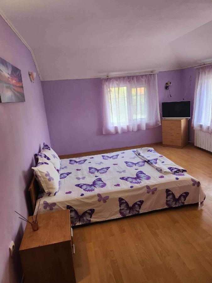 סופיה Guest House Iveta מראה חיצוני תמונה